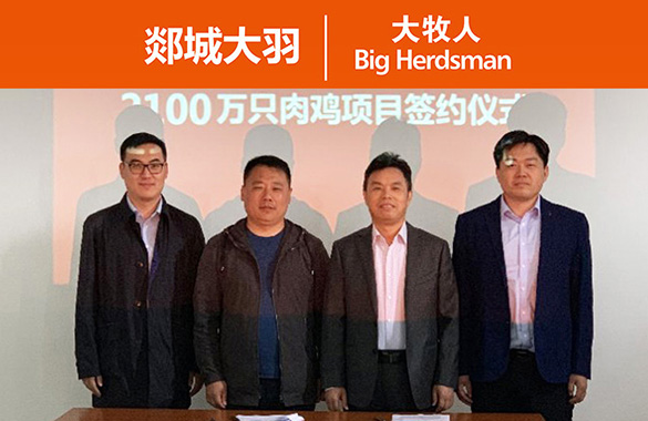 大牧人与郯城大羽签约2100万只肉鸡项目，打造肉鸡养殖基地新标杆！