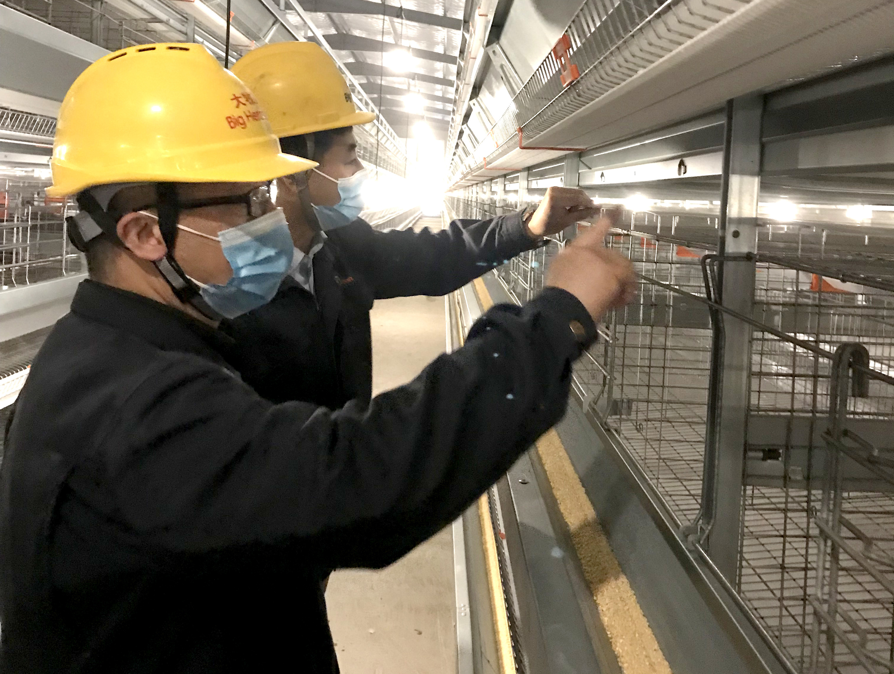 把关护航，客户无忧——记大牧人项目稽查部