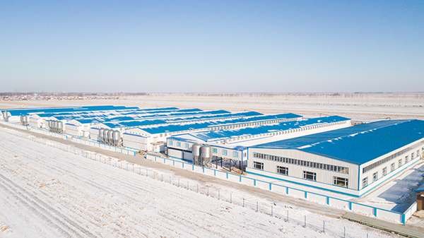 大牧人助力吉林蛋鸡产业园打造百万蛋鸡养殖示范基地