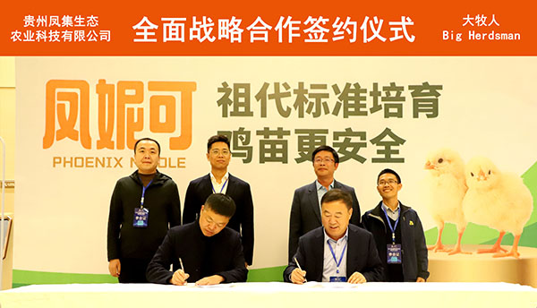 大牧人出席中国蛋鸡行业研讨峰会，并与凤集生态农业签订战略合作协议