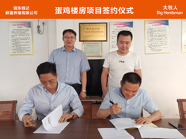 蛋鸡楼房硬核来袭！大牧人携手田东钱记打造蛋鸡“6层楼x6层笼”全自动养殖新模式