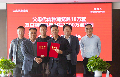 通力合作，共创双赢—大牧人再度携手羽丰农牧，开启战略合作新征程！