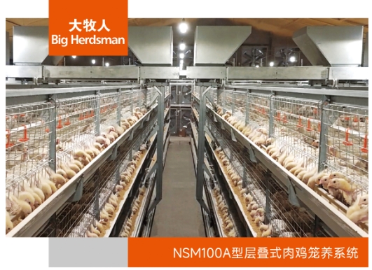 NSM100A型层叠式肉鸡笼养系统