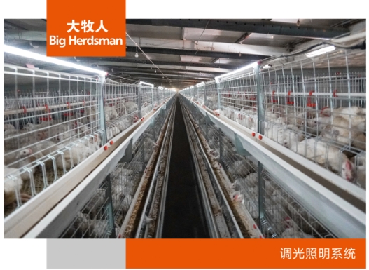 调光照明系统