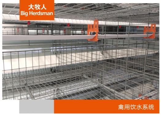 禽用饮水系统