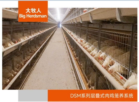 DSM系列层叠式肉鸡笼养系统
