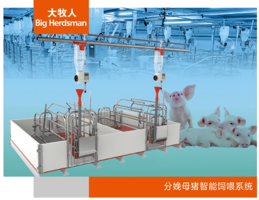 全阶段母猪智能饲喂系统