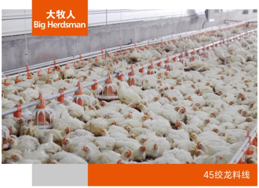 45绞龙料线