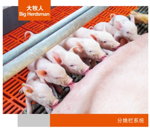 分娩栏系统