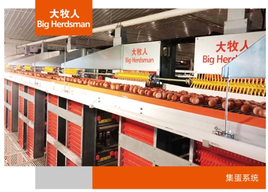 集蛋系统