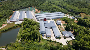 大牧人智慧装备赋能观东蛋禽基地，30万羽蛋鸡基地引领乡村振兴新篇章