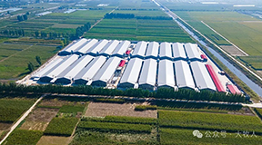 志在兴农，翔以致远—大牧人携手志翔农牧打造智能化肉鸡养殖新标杆！