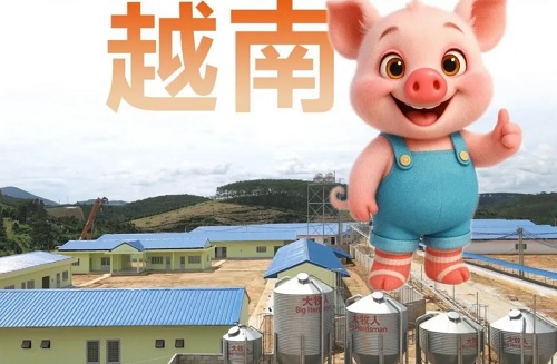 海外精品项目 | 大牧人助力越南1200头母猪场圆满交付并顺利进猪！