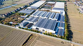 单栋饲养48000只，产蛋率98%：我们如何用“数智化笼养”重新定义蛋鸭产业