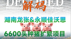 解码世界级种猪基地：6600头PIC种猪如何在一座“生命芯片工厂”中诞生？