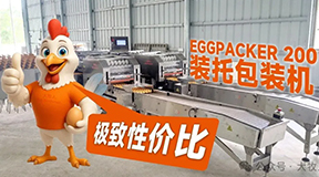 大牧人EP200装托包装机：鸡蛋包装速度再提升，效率与安全双突破！