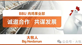 【诚邀合作 共谋发展】大牧人肉鸡事业部诚招安装合作伙伴！
