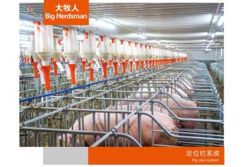 定位栏系统