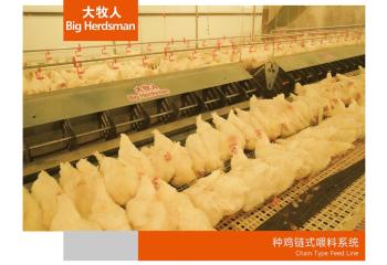 种鸡链式喂料系统