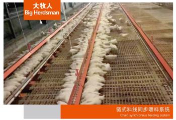 链式料线同步喂料系统