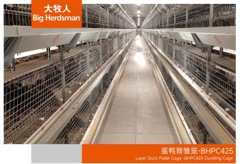 蛋鸭育雏笼-BHPC425
