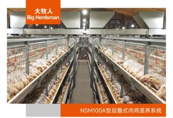 NSM100A型层叠式肉鸡笼养系统