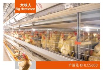 产蛋笼-BHLCS600