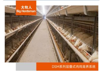 DSM系列层叠式肉鸡笼养系统