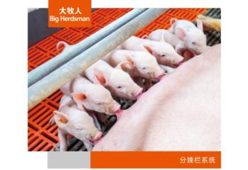 分娩栏系统