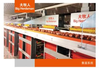 集蛋系统