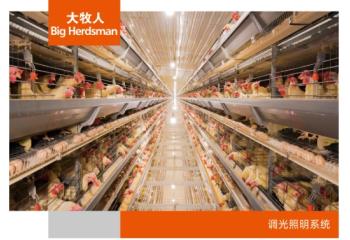 调光照明系统