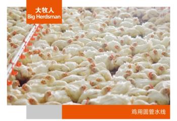 鸡用圆管水线